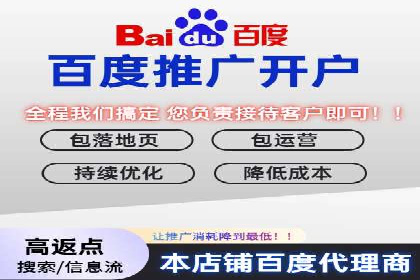 网络推广与竞价策略实战案例